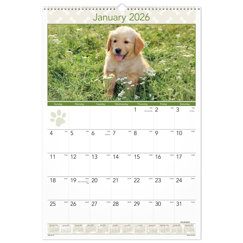 AT-A-GLANCE 2026 Puppies Monthly Wall Calendar, Large, 15 1/2in x 22 3/4in MPN:DMW1672826