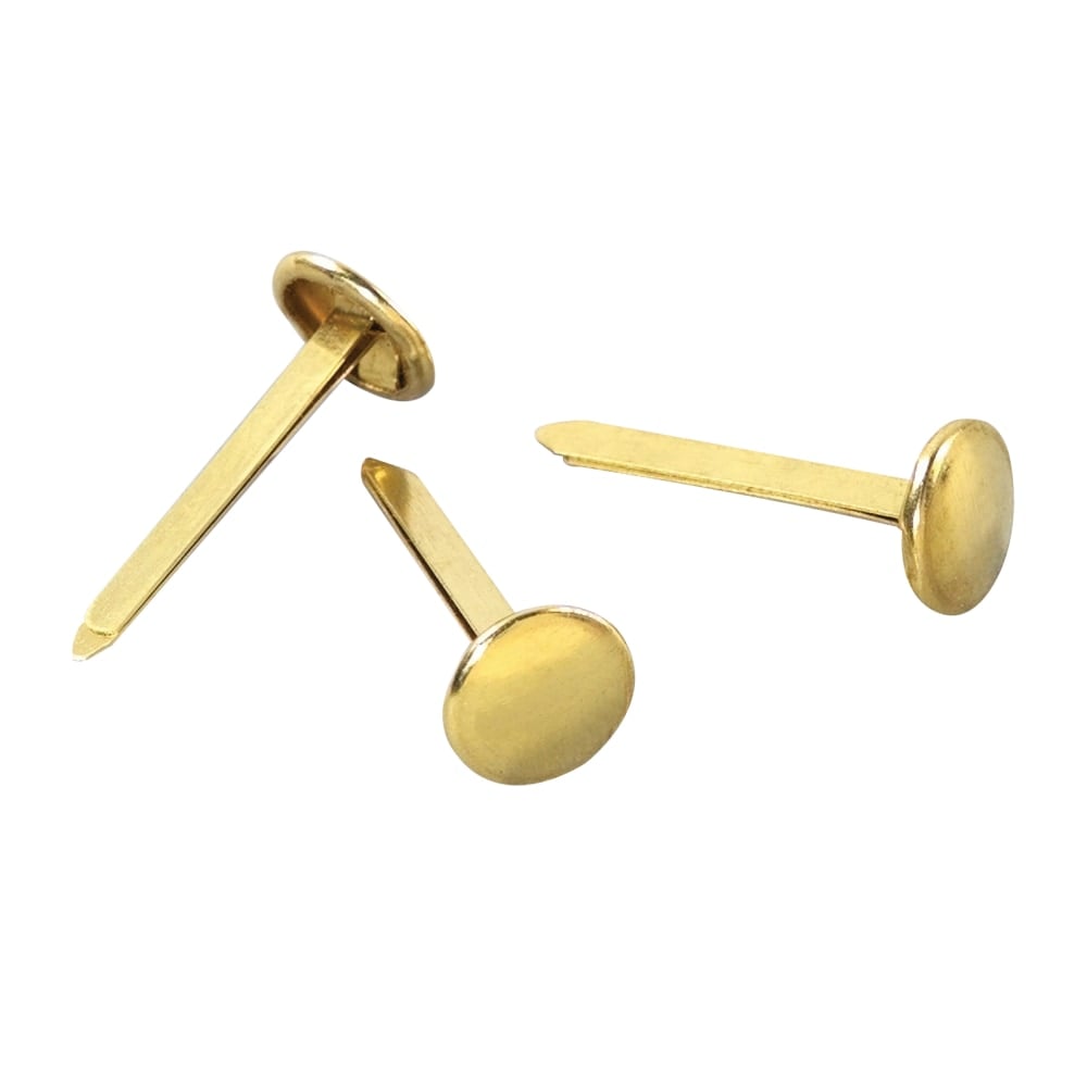 Example of GoVets Paper Clips Binder Clips and Fasteners category