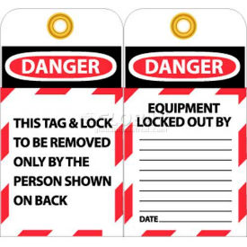 NMC LOTAG1-25 Tags This Tag & Lock To Be Removed Only 6