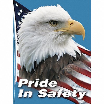 Safety Poster 22 in x 17 in Plastic MPN:SP124511L