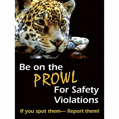 Safety Poster 22 in x 17 in Plastic MPN:SP124513L