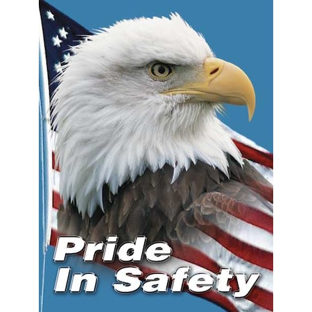 Safety Poster, Pride In Safety, 22 in H x, 17 in W, Plastic MPN:SP124511L
