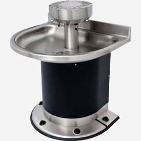 Acorn Engineering Company® Washfountain Semi-Circular 4 Stations Foot Operated 3544-2-F-DV-VPB-MXTP
