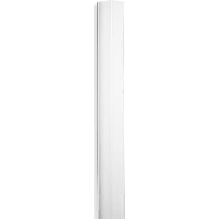 Guard, Clear, Polycarbonate, 10 MPN:LG25010F