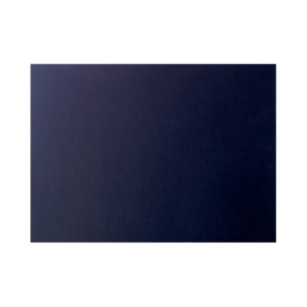 Example of GoVets Action Envelope brand
