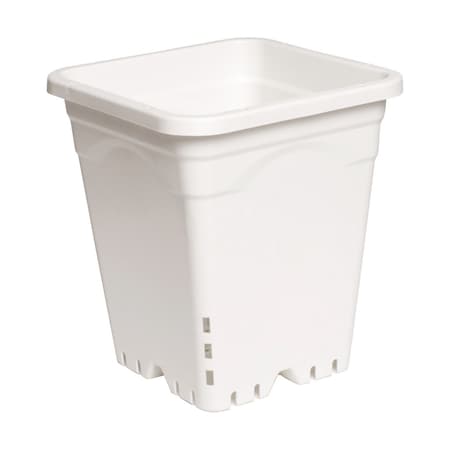 Square White P, 9