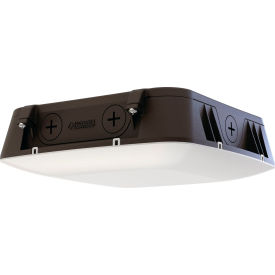 Lithonia Lighting® CNY LED Adjustable Lumen Output Canopy 30K/40K/50K 120-347V Dark Bronze CNY LED ALO SWW2 UVOLT PE PIR DDB M2