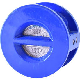 Legend Valve® T-312 Ductile Iron Check Valve with EPDM Seats Stainless Steel Disc 10
