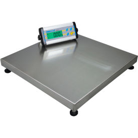 Adam Equipment CPWplus Digital Platform Scale 440 lb x 0.1 lb 19-11/16