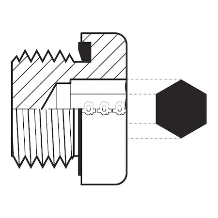 Hose Adapter, 1/2