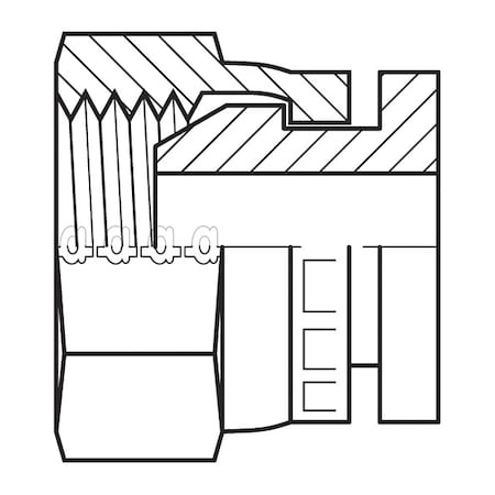 Hose Adapter, 1/2