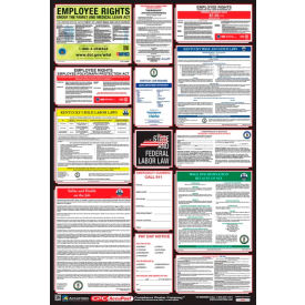 Labor Law Poster - Kentucky PPG300KY