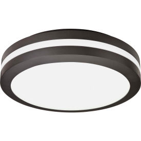 Example of GoVets Outdoor Ceiling Lights category