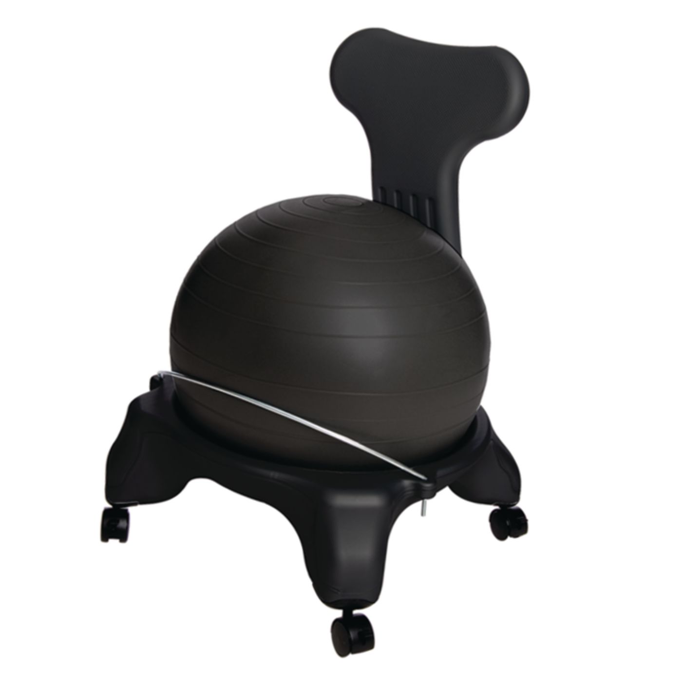 Example of GoVets Ball Chair category