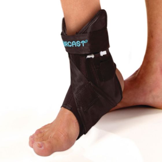 Example of GoVets Aircast category