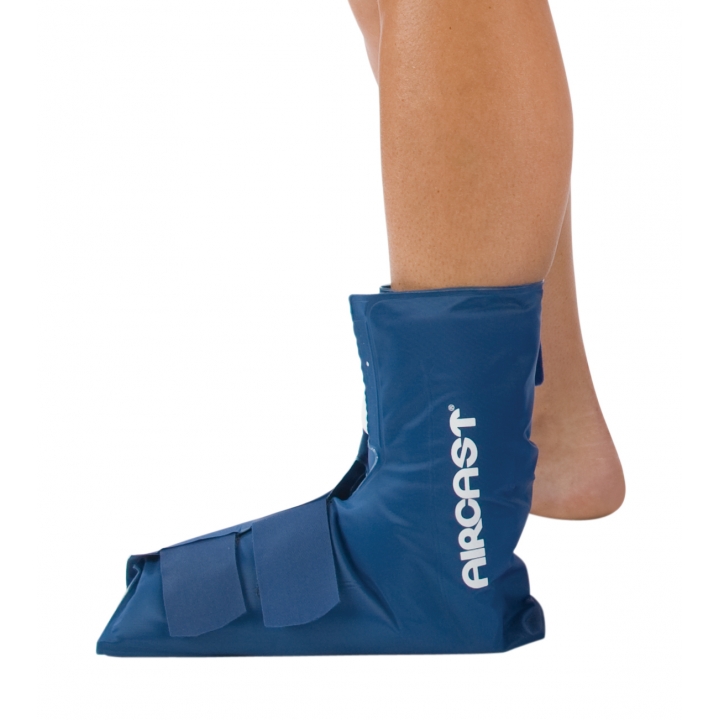 Example of GoVets Aircast category
