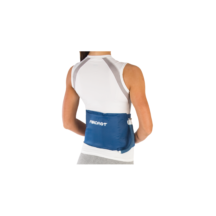 Example of GoVets Aircast category