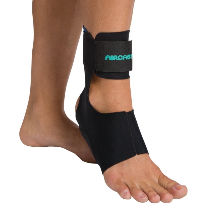Example of GoVets Aircast category