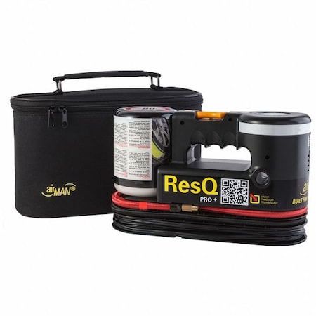 Tire Repair Air Compressor Kit, Sealan MPN:71-063-021