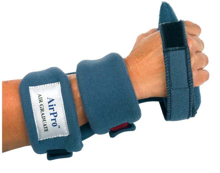 Example of GoVets Airpro category