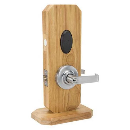 Example of GoVets Alarm Lock category