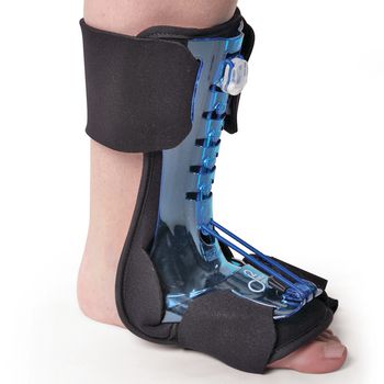 Example of GoVets Alimed category