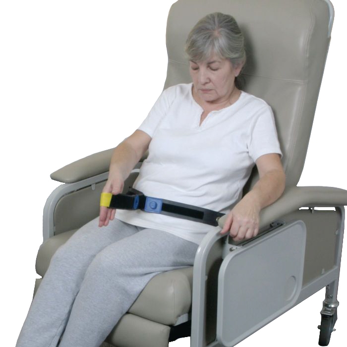 Example of GoVets Seat Belt category