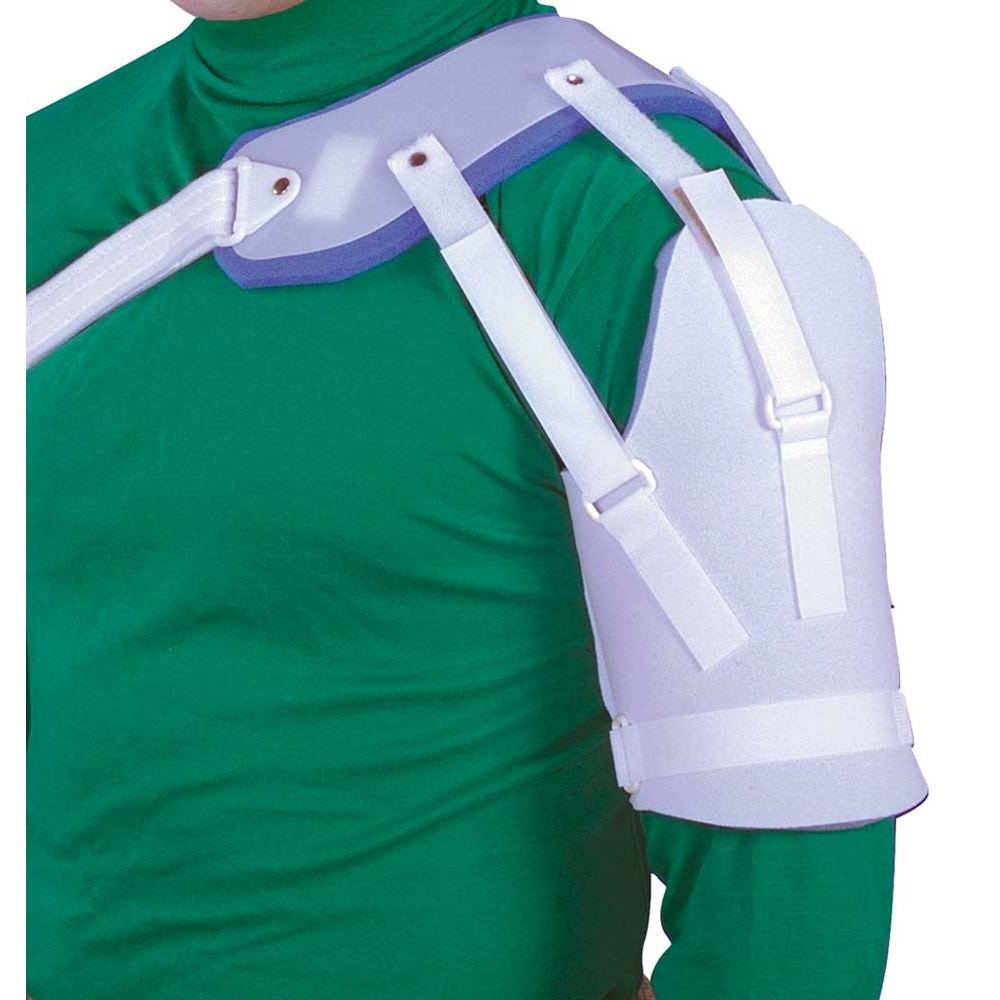 Example of GoVets Alimed category