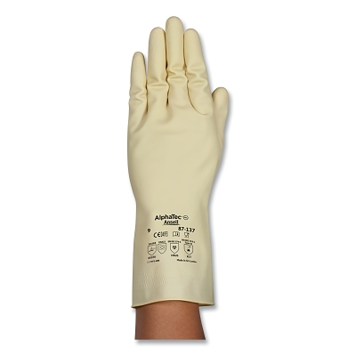 Alphatec 87-137 Size 8.0 MPN:87137080