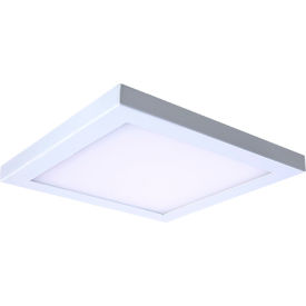 Amax® 10