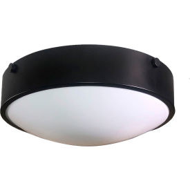 Amax® 13