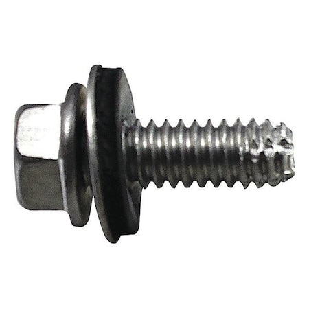 Hinge Screw, Door Mount, 5/8 in L, PK24 MPN:TAPS1458W