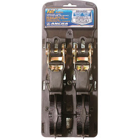 ANCRA Cargo® Strap Assy Ratchet Buckle w/vinyl S-Hooks 1