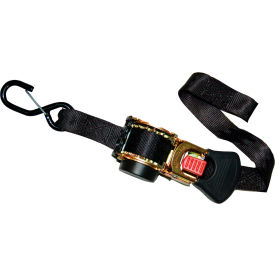 ANCRA Cargo® Strap Assy Ratchet Buckle w/vinyl S-Hooks 1