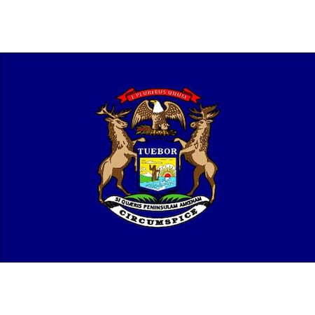 Michigan State Flag, 3x5 Ft MPN:142660