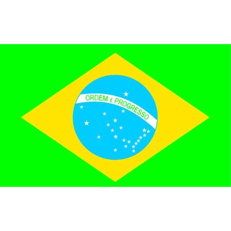 Brazil Flag, 4x6 Ft, Nylon MPN:190845