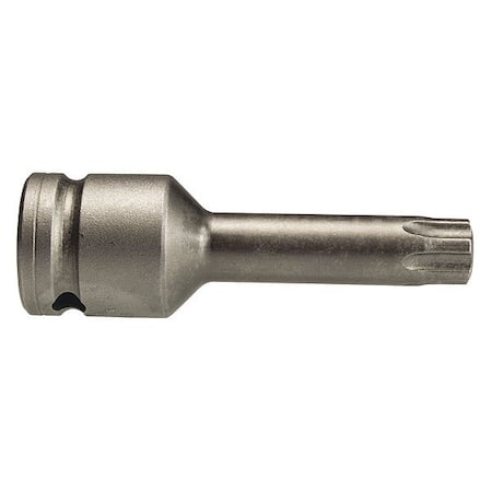 Bit, 3/8 F Sq Srv Dr T50 Torx 1-5/8