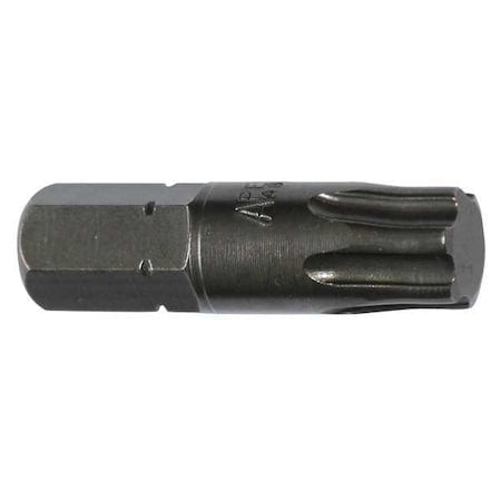 Torsion Bit, SAE, 5/16