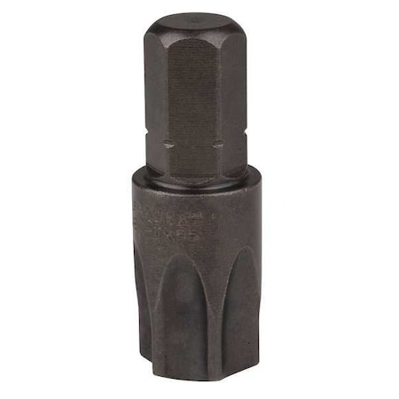 Torsion Bit, SAE, 5/16