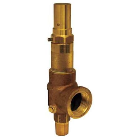 Adjustable Relief Valve, 1/2 In, 250 psi MPN:1650160