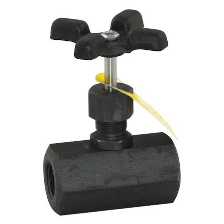 Globe Valve, 1/2