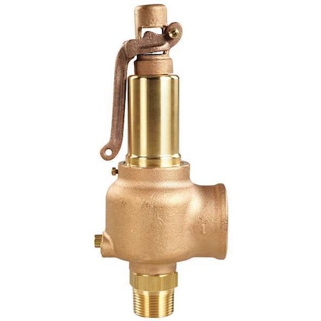 Safety Relief Valve, 1/2 x 3/4, 100 psi MPN:740DC1M1K1-100