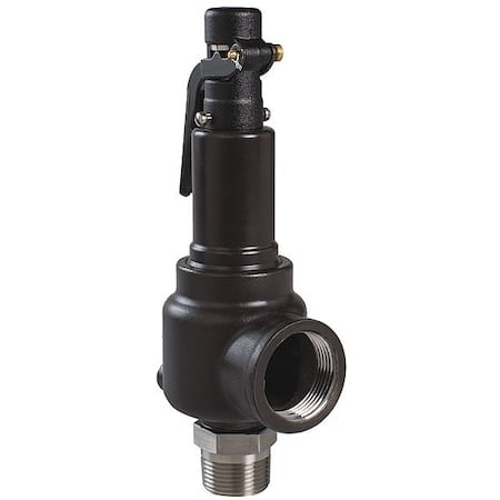 Sfty Vlve, 125 psi, 3/4 MNPT x 1 FNPT SRS MPN:742EC1M1K1-125