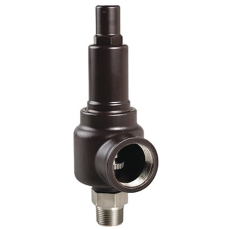Sfty Valve 125 psi, 1 MNPT x 1 FNPT Sries MPN:742EG1M2J1-125