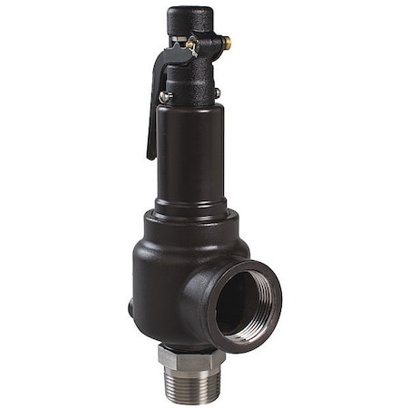 Sft Vl, 100 psi, 1 1/4 MNPTx1 1/2 FNPT SRS MPN:742FH1M1K1-100