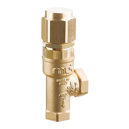 Safety Valve, SS 10, 450 psi MPN:4073201000