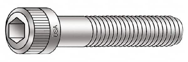 Example of GoVets Socket Cap Screws category