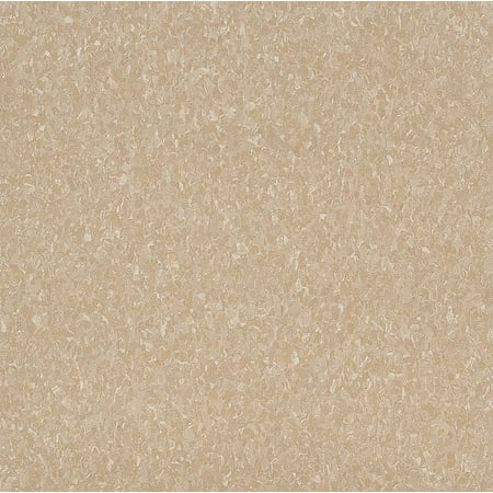 Vinyl Floor Tiles, 12 in W, Antique White MPN:5C811031