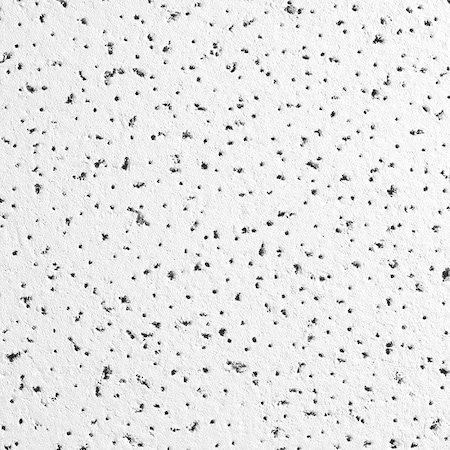 Fine Fissured Ceiling Tile, 24 in W x 24 in L, Angled Tegular, 15/16 in Grid Size, 10 PK MPN:1756B