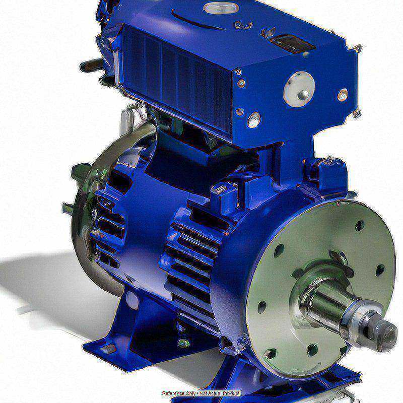 Pump Motor Single Phase 115V AC MPN:819031-200